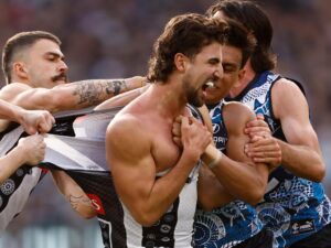 Read more about the article Collingwood’s Next Clash is On: Oi Pies Fans, Are You Ready to Fire Up? Let’s Get It Done…..